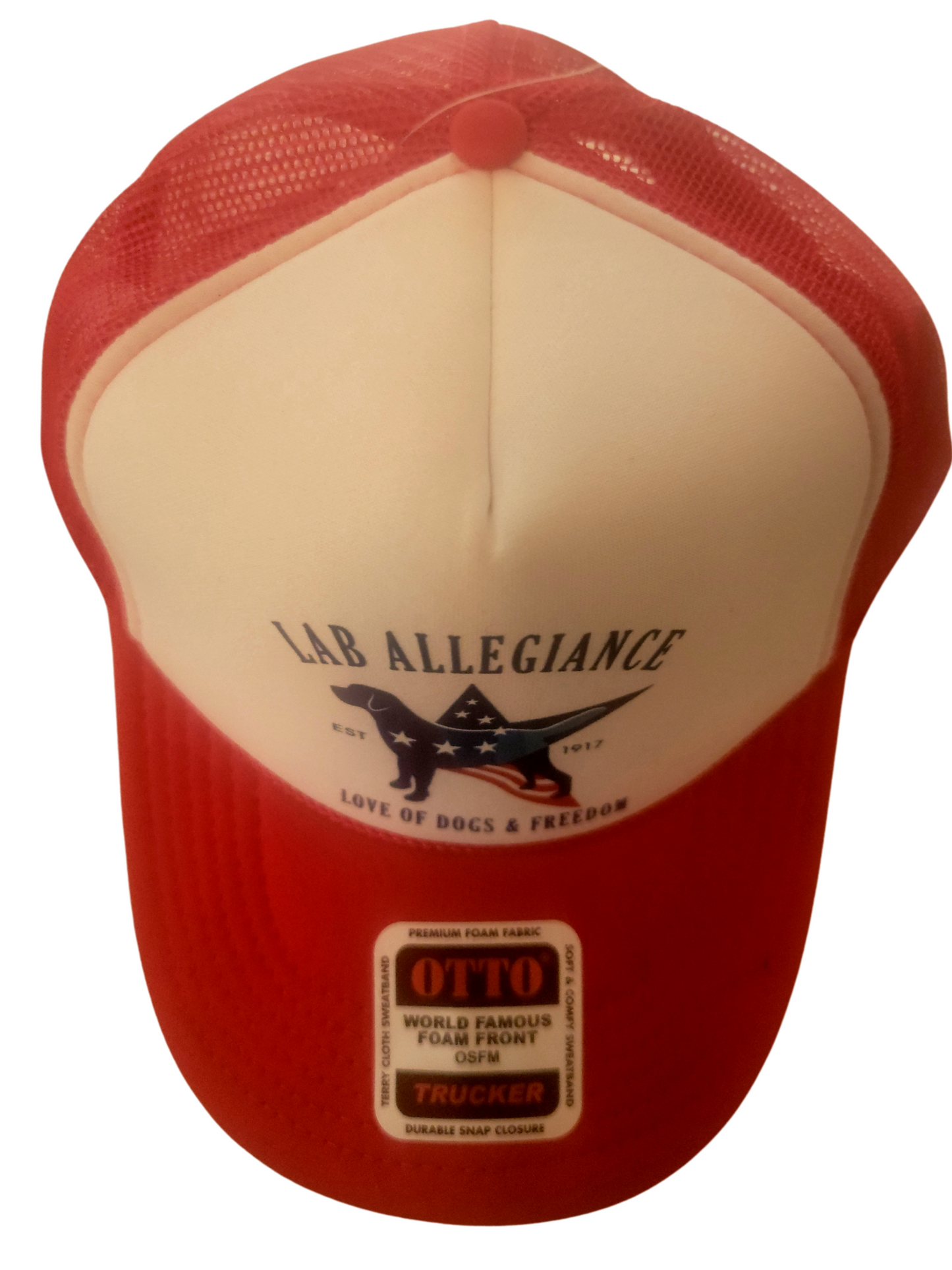 Otto Five Pannel Lab Allegiance Logo Hat