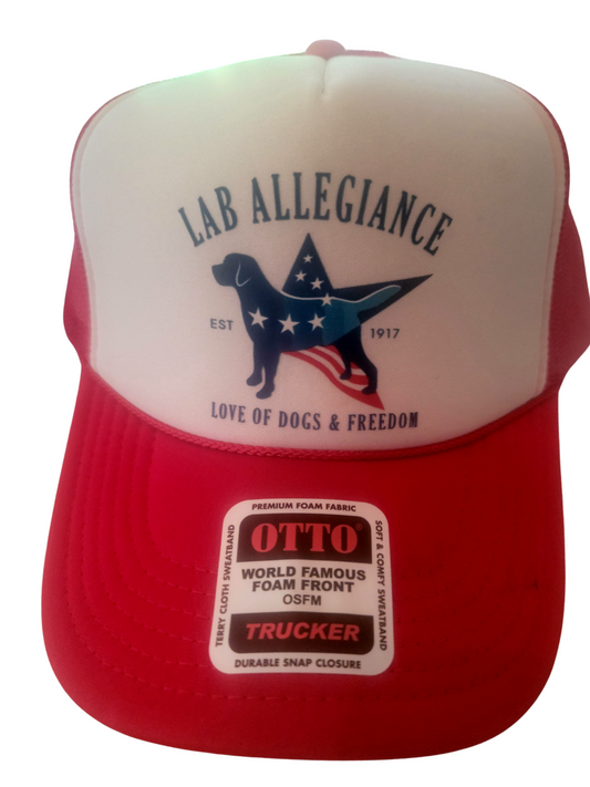 Otto Five Pannel Lab Allegiance Logo Hat